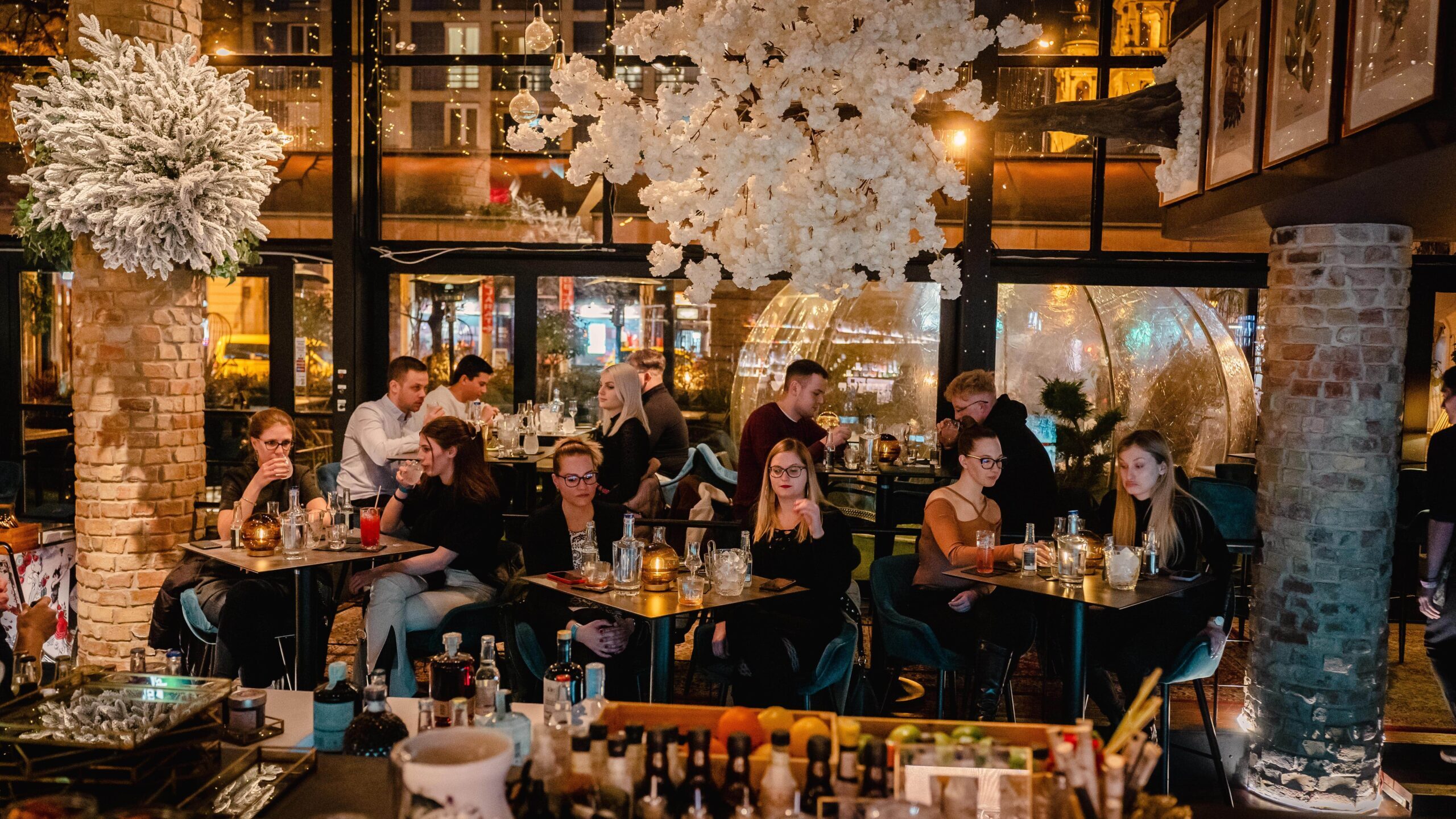 &T gin-tonik kóstoló és workshop